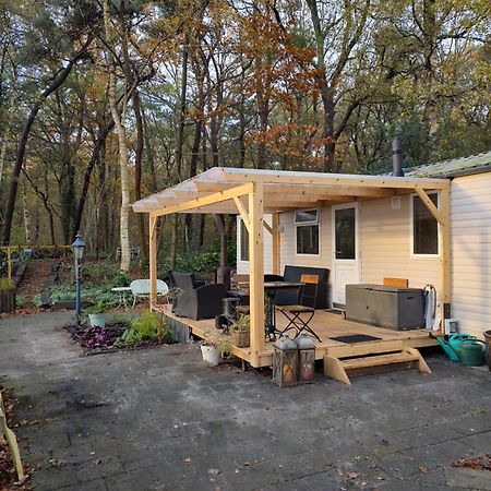 Chalet Met Veranda Aan Bosrand Vledder Exterior foto