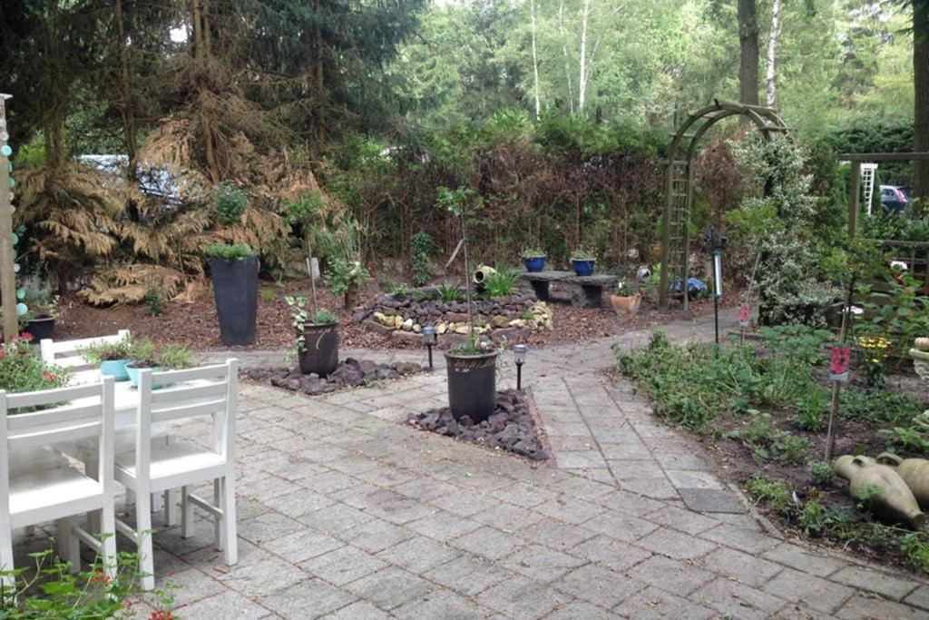 Chalet Met Veranda Aan Bosrand Vledder Exterior foto